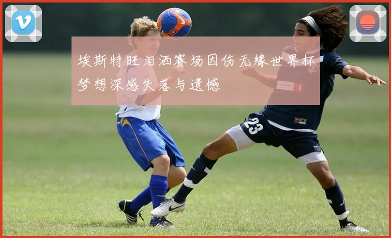 埃斯特旺泪洒赛场因伤无缘世界杯梦想深感失落与遗憾