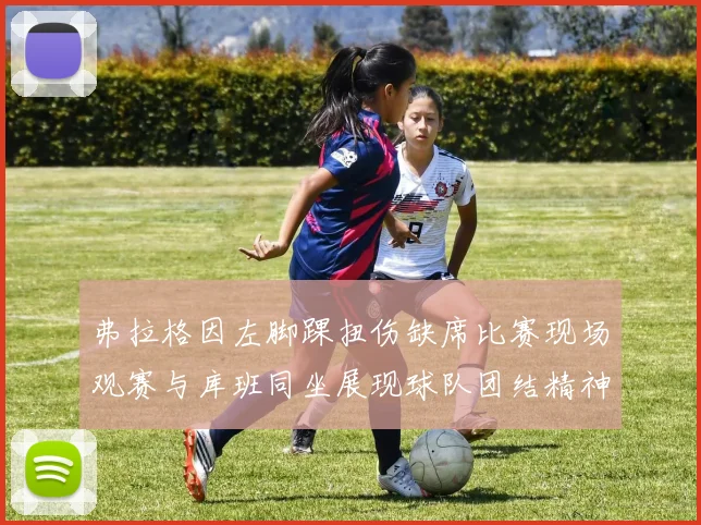 弗拉格因左脚踝扭伤缺席比赛现场观赛与库班同坐展现球队团结精神