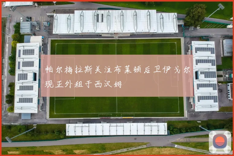 帕尔梅拉斯关注布莱顿后卫伊戈尔现正外租于西汉姆