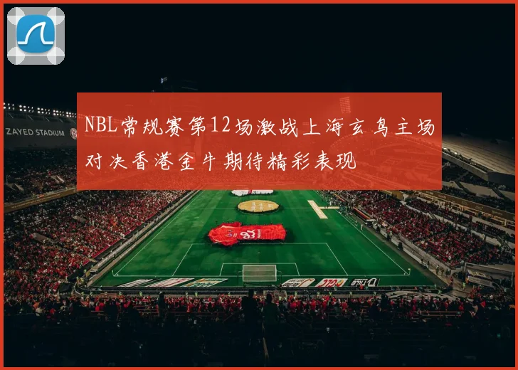 NBL常规赛第12场激战上海玄鸟主场对决香港金牛期待精彩表现